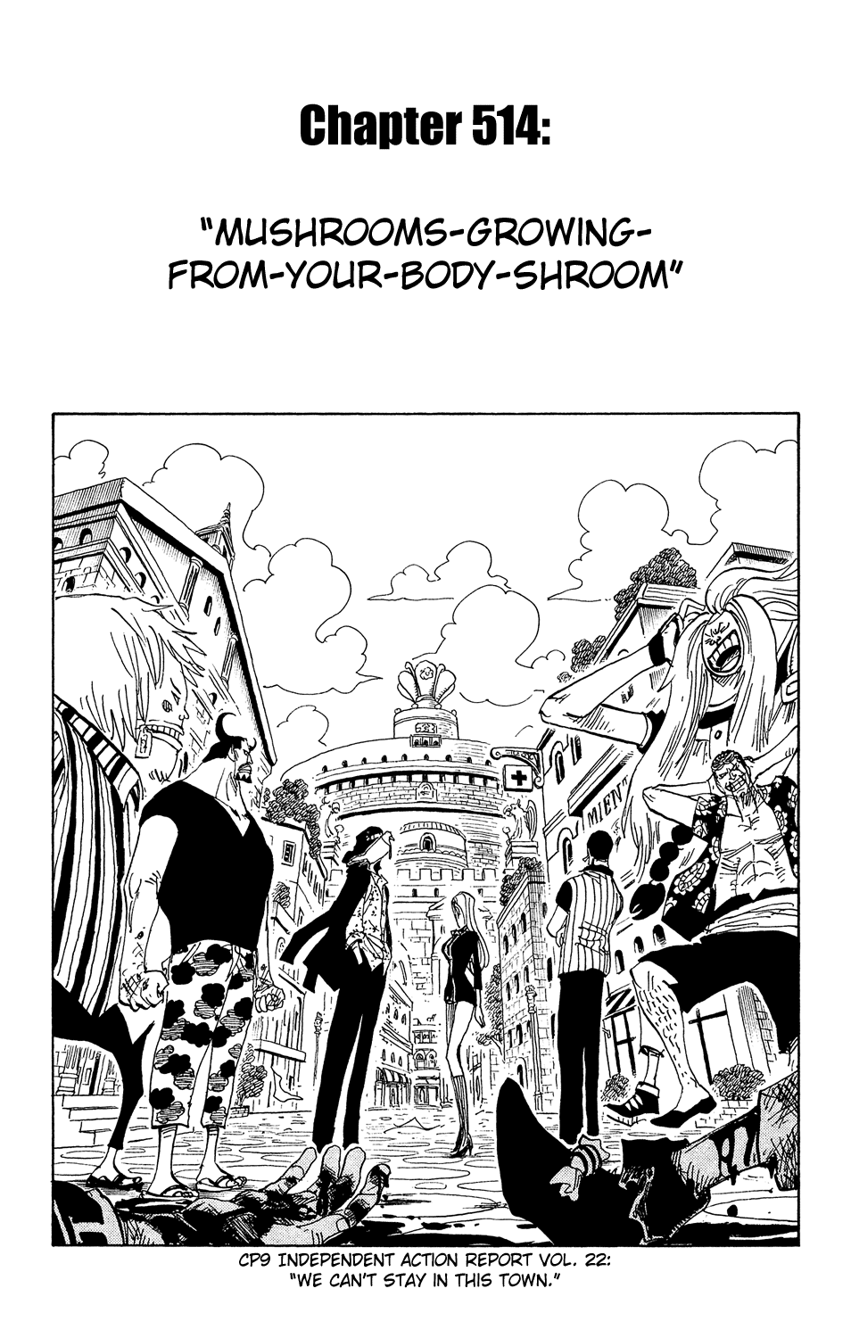 One Piece, Chapter 514 image 01